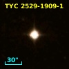 TYC 2529-1909-1