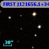 FIRST J121656.1+341801