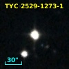TYC 2529-1273-1