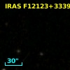 IRAS F12123+3339