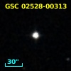 GSC 02528-00313