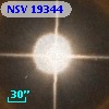 NSV 19344