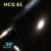 HCG  61