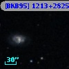 [BKB95] 1213+2825