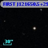FIRST J121650.5+294155