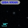 LEDA   89568