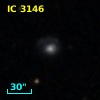 IC 3146