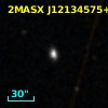2MASX J12134575+2421221
