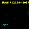 IRAS F12129+2037