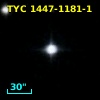 TYC 1447-1181-1