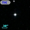 TYC 1445-698-1