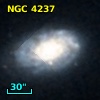 NGC  4237