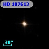 HD 107613