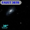 FAUST 3070