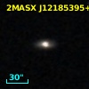 2MASX J12185395+1000095