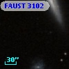 FAUST 3102