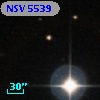 NSV  5539