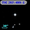 TYC  287-499-1