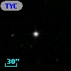 TYC  288-1-1