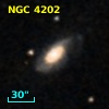 NGC  4202