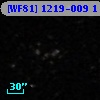 [WF81] 1219-009 1
