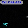 TXS 1216-029