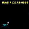IRAS F12175-0556