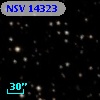 NSV 14323
