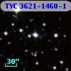 TYC 3621-1460-1