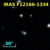 IRAS F12166-1334