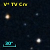 V* TV Crv