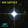 HD 107333