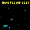 IRAS F12165-3134