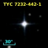 TYC 7232-442-1
