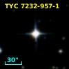 TYC 7232-957-1