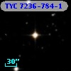 TYC 7236-784-1