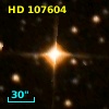 HD 107604