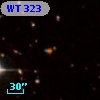 WT  323