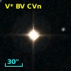 V* BV CVn