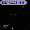 KISS F1229-447