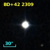 BD+42  2309