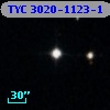TYC 3020-1123-1