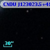 CXOU J123023.5+413652
