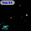 Ton  81