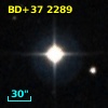 BD+37  2289