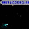 FIRST J122538.2+365017