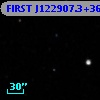 FIRST J122907.3+364145