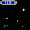 UI 36-55
