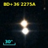 BD+36  2275A