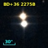 BD+36  2275B